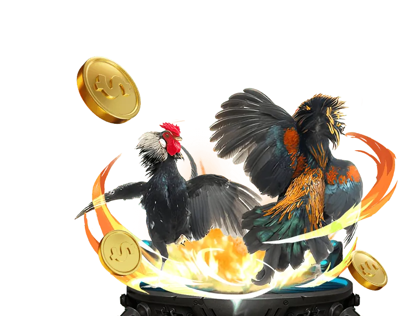 Tỷ lệ thắng cược cao